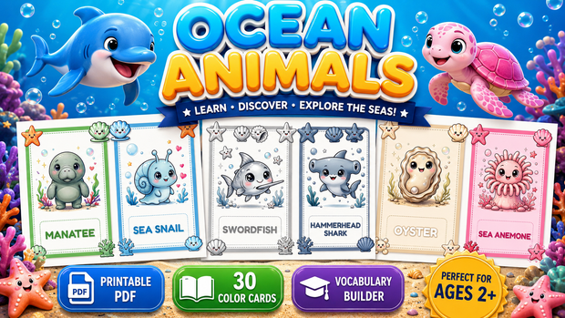 Ocean Animals Flashcards cover